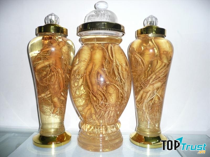 Bình rượu sâm vừa bắt mắt vừa chất lượng