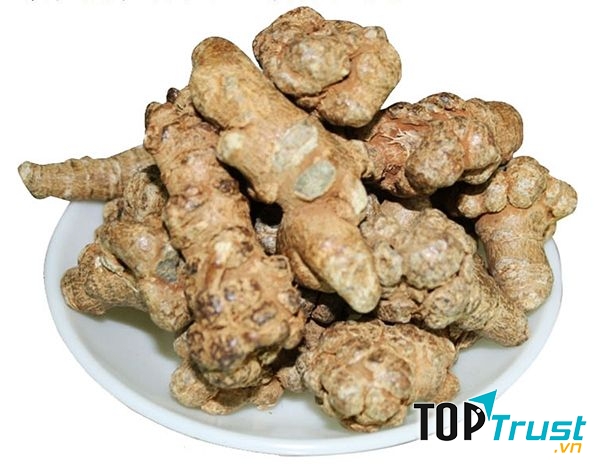 Thảo dược Thanh Bình