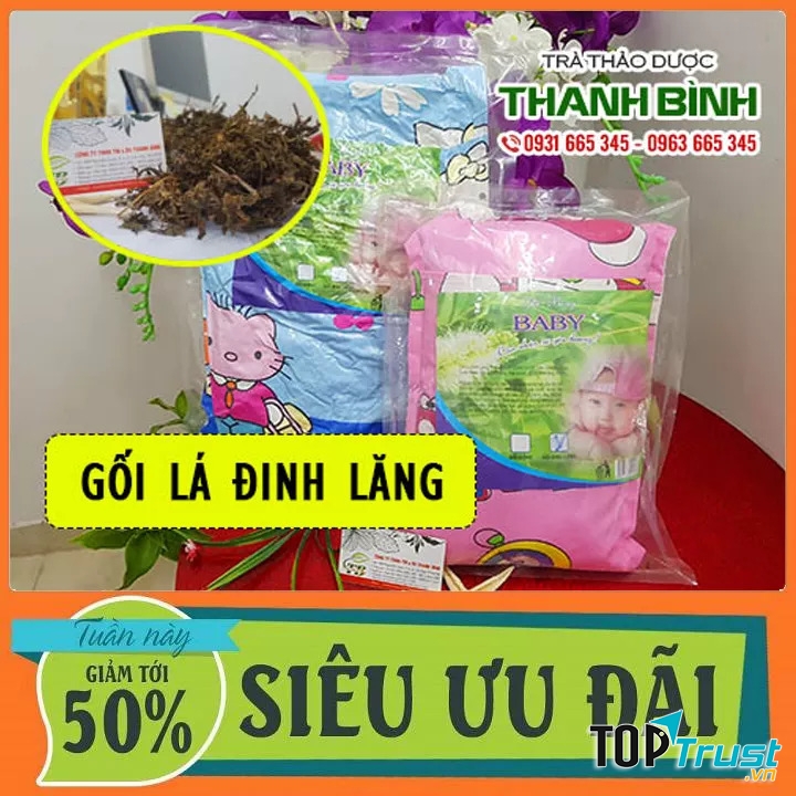 Gối đinh lăng của Thảo dược Thanh Bình