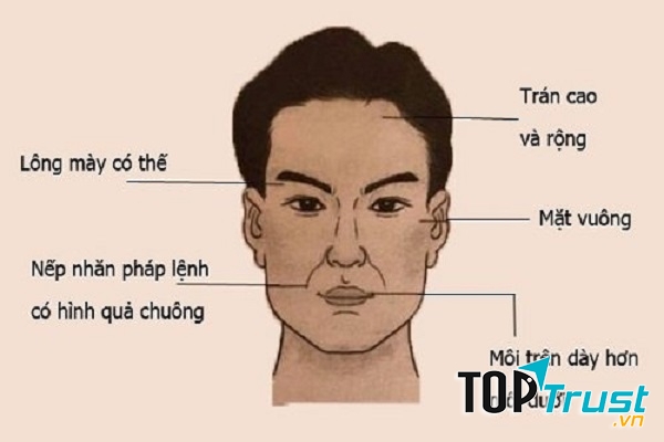 Xem tướng dự đoán người có tài lãnh đạo