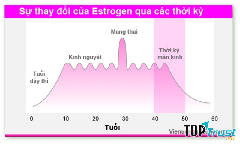 Nội tiết tố cụ thể là lượng estrogen tăng cao là nguyên nhân phổ biến của trầm cảm