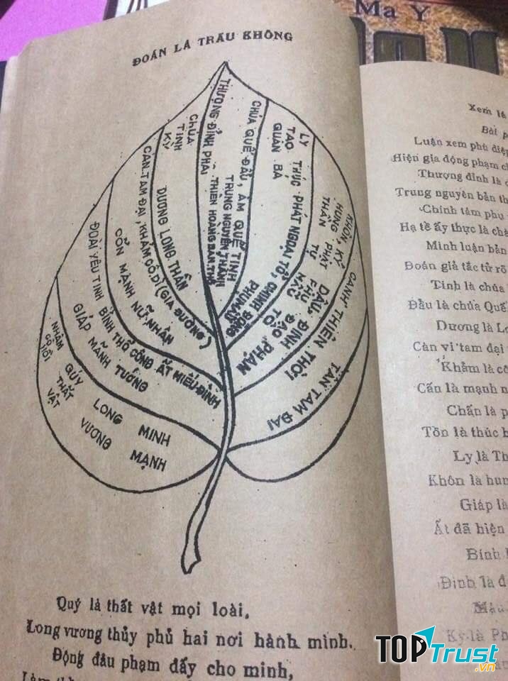 Sách dạy xem bói lá trầu