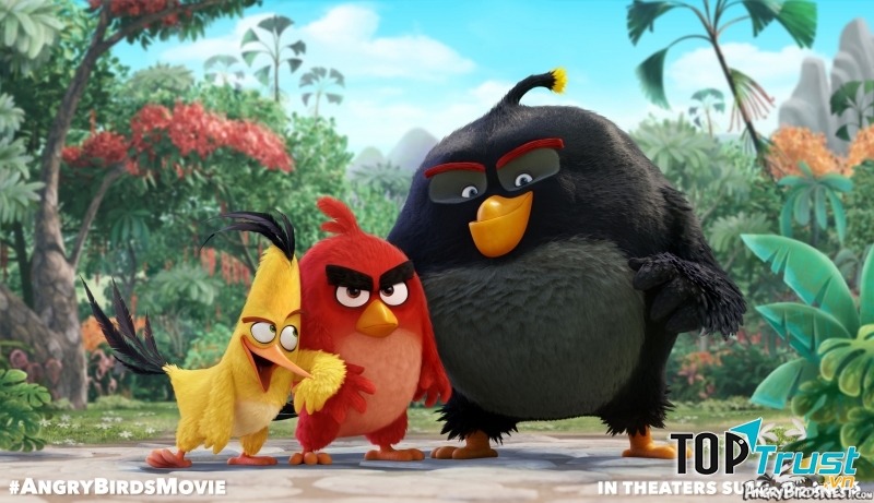 The Angry Birds Movie (2016)