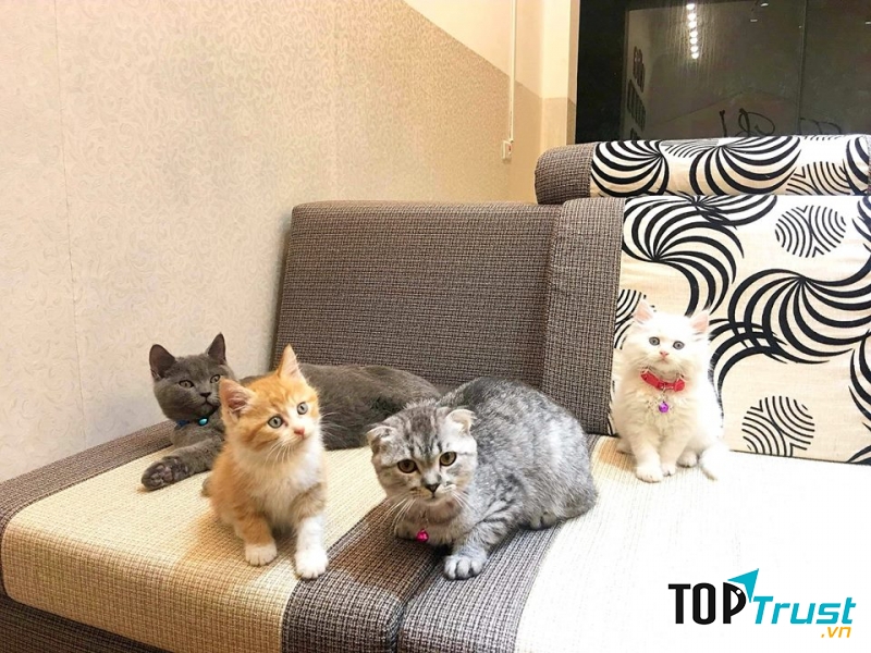 The Blue - Coffee & Tea House