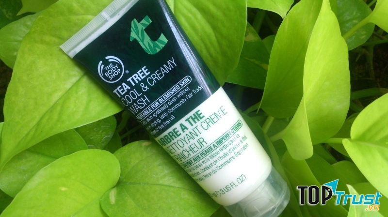 The Body Shop Tea Tree Cool & Creamy Wash 100ml