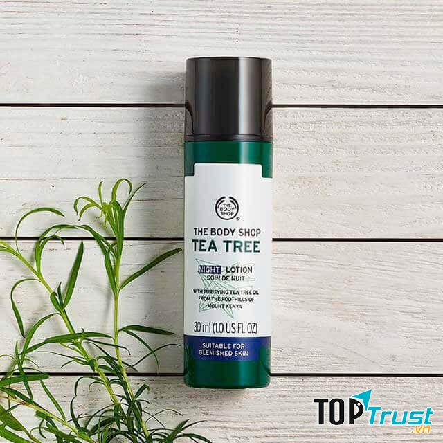 The Body Shop Tea Tree Night Lotion