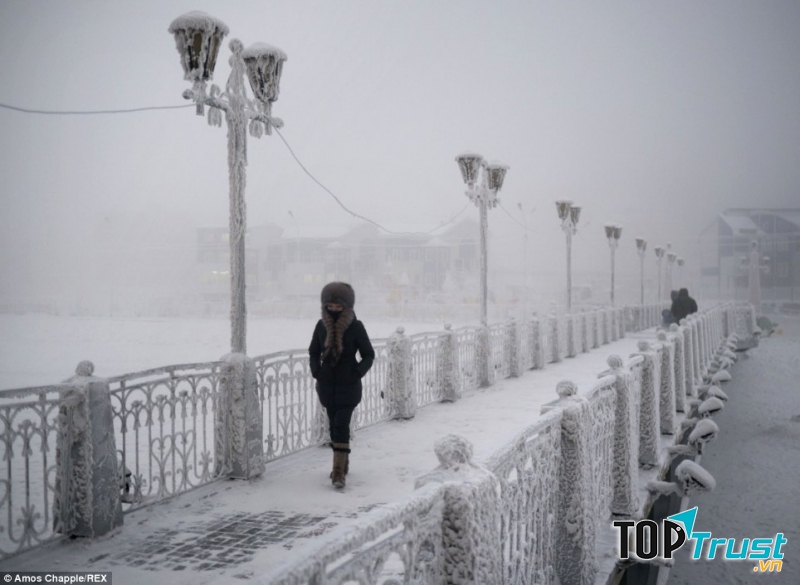 Mọi nơi của thành phố đều bị đóng băng