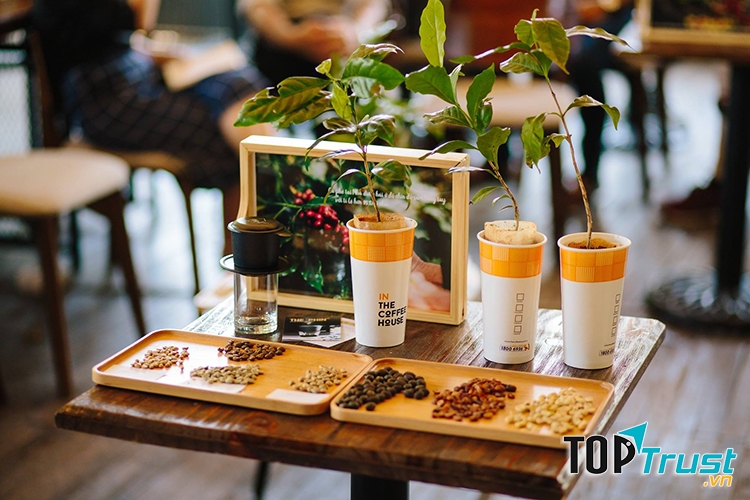 The Coffee House với không gian tinh tế, sang trọng