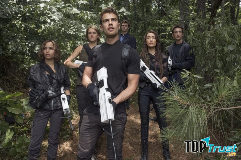 The Divergent Series