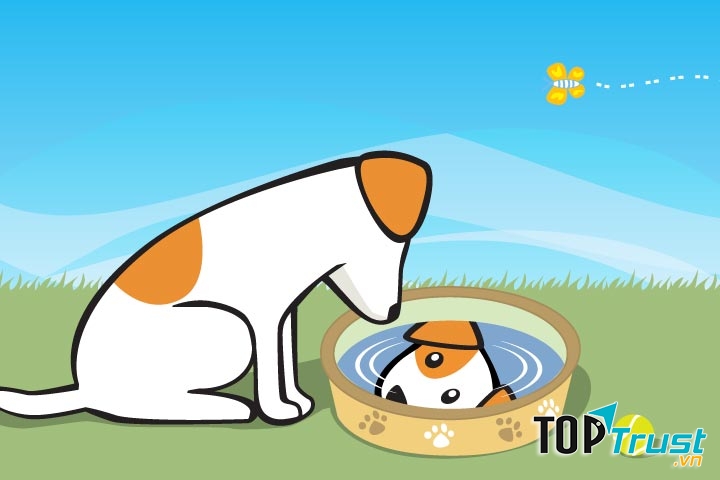 The Dog At The Well