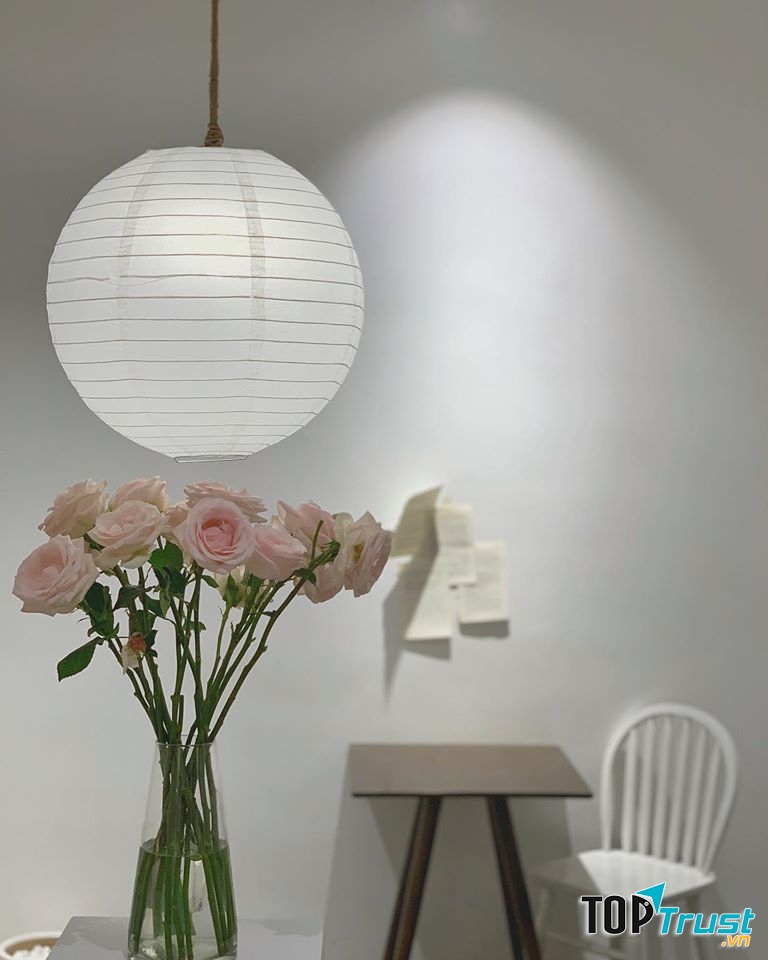 The Dome Kaffe Coffee