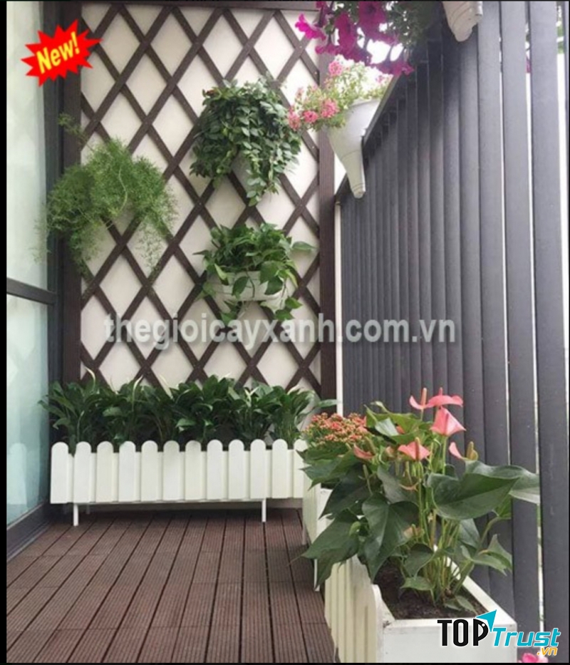 Thế Giới Cây Xanh Việt Nam - Công Ty Cây Xanh TpHCM (Greenlife)