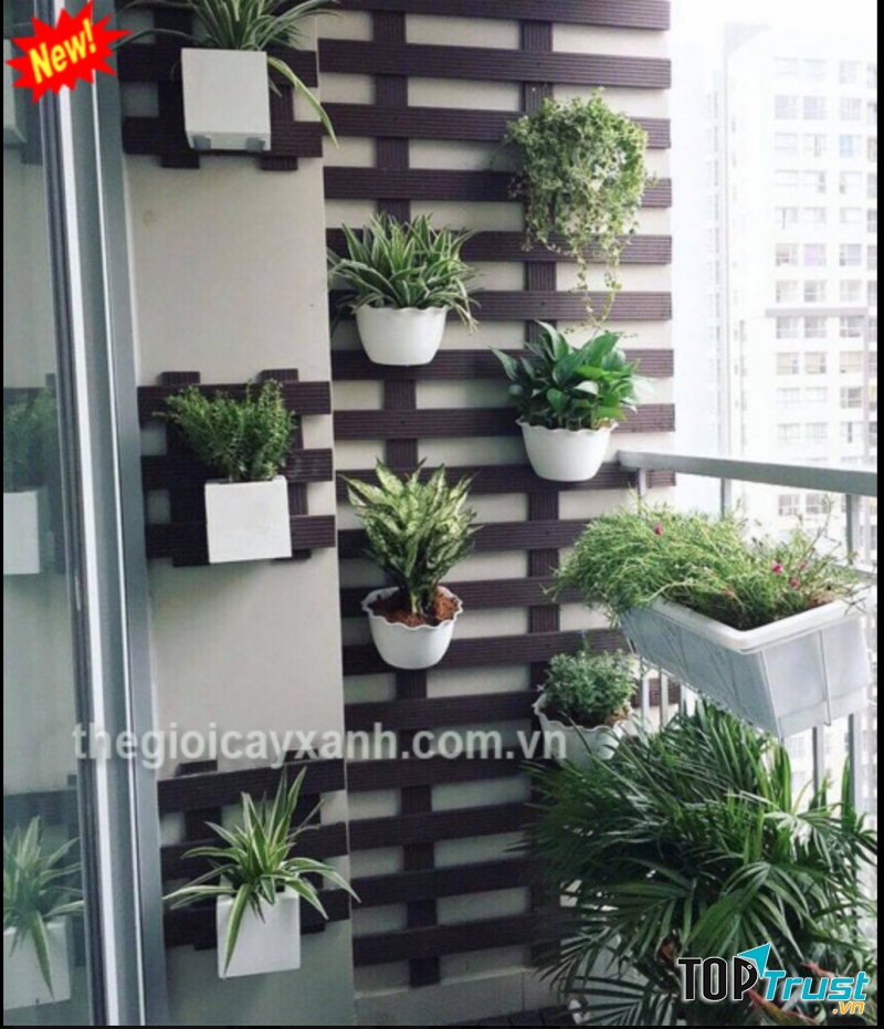 Thế Giới Cây Xanh Việt Nam - Công Ty Cây Xanh TpHCM (Greenlife)