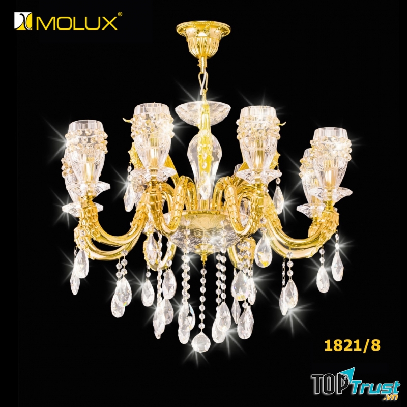 Thế giới đèn trang trí Molux