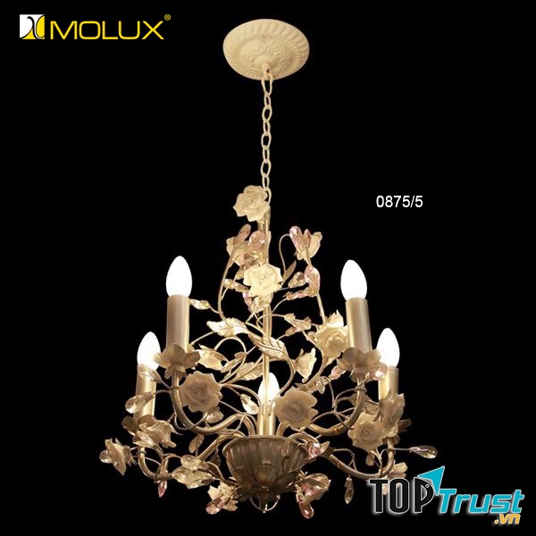 Thế giới đèn trang trí Molux
