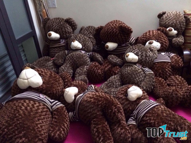 Thế Giới Gấu Bông Hải Phòng