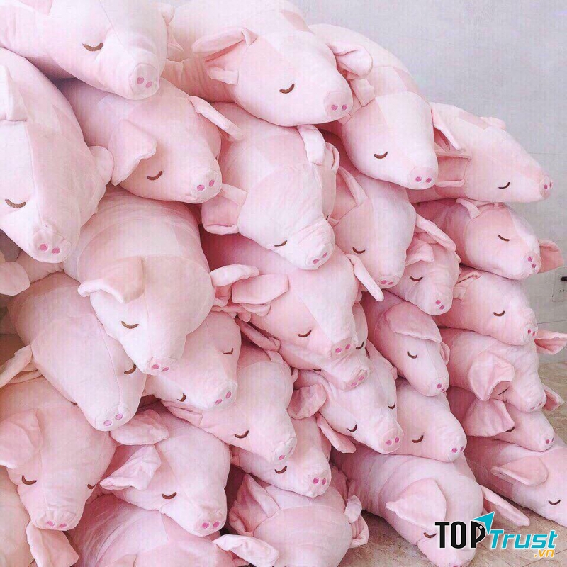 Thế Giới Gấu Bông Hải Phòng