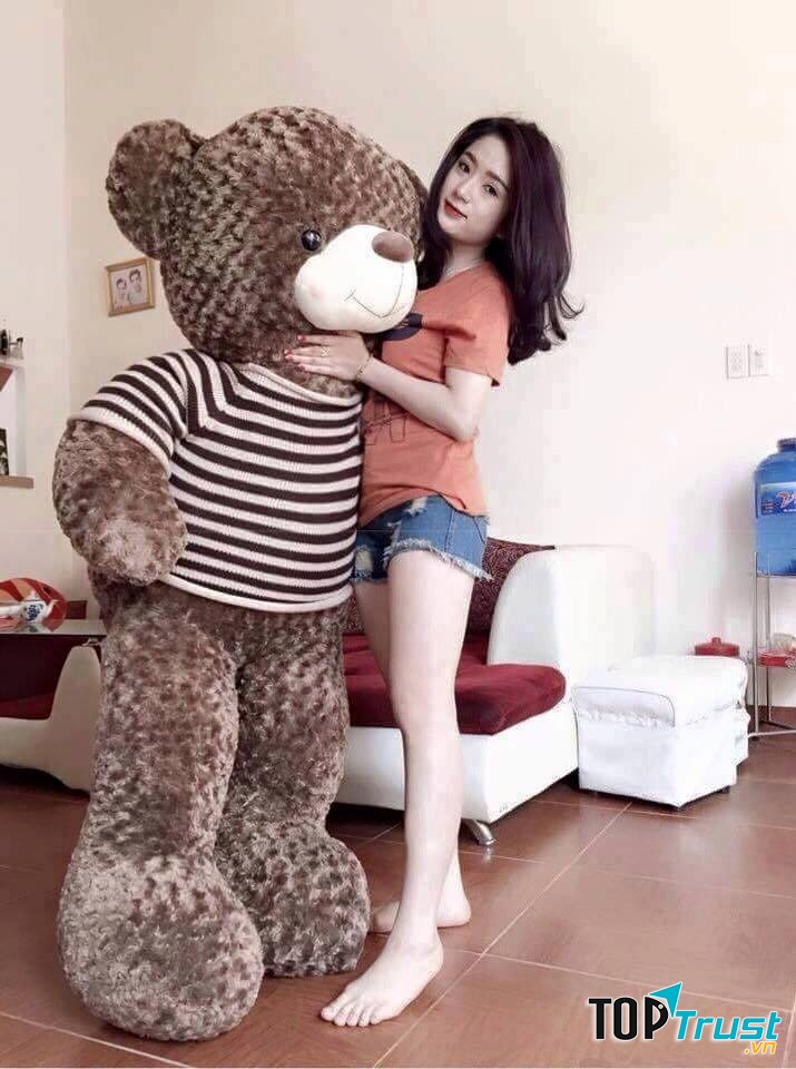 Quà tặng gấu bông