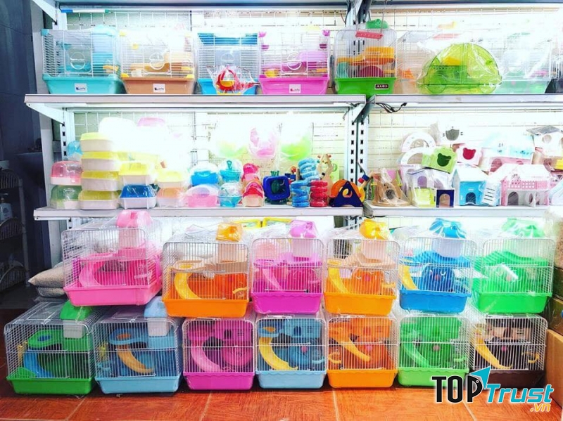 The Hamter Hạ Long Quảng Ninh