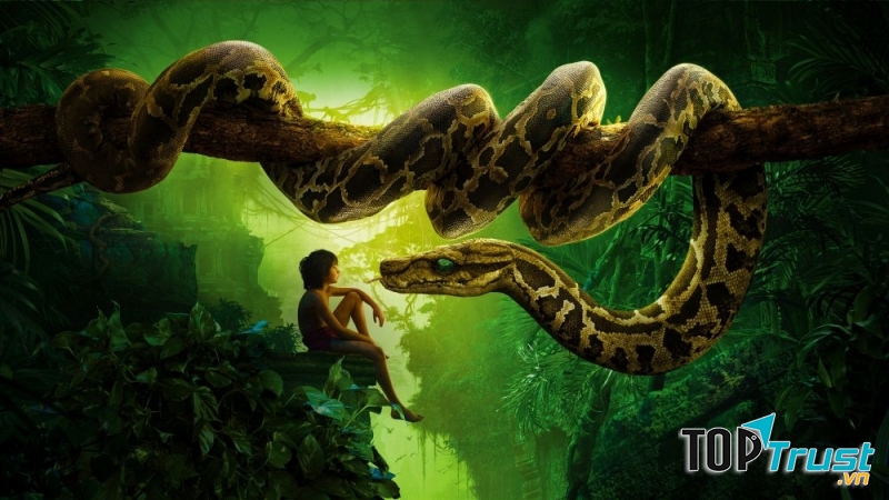 Phim The Jungle Book