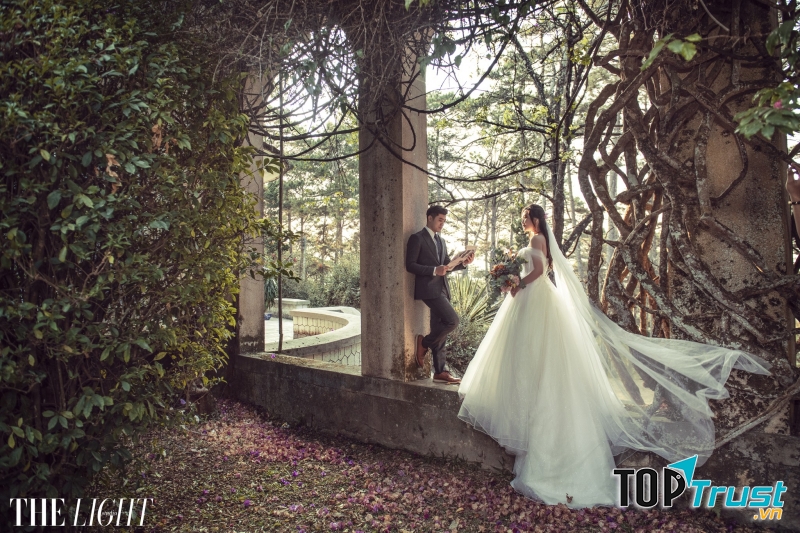 The Light Studio