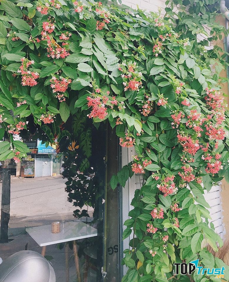 The Moon Coffee - TRĂNG