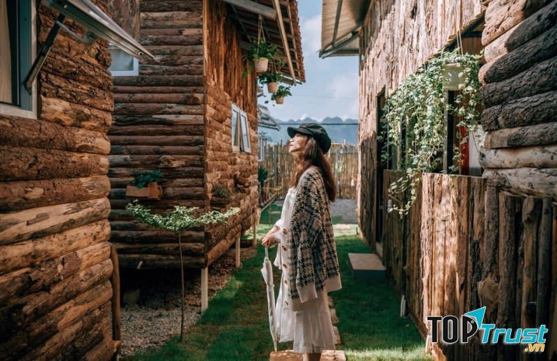 The November homestay