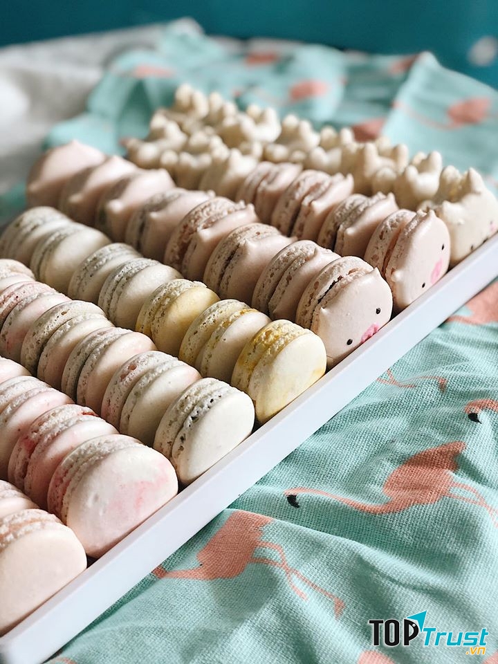 Nếu bạn đang muốn tìm kiếm một không gian mang lại cảm giác thoải mái, thư giãn nhẹ nhàng cùng trà và bánh thì hãy một lần đặt chân đến The Polygon