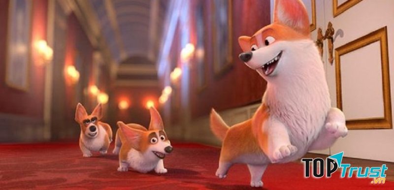 The Queen’s Corgi – Những chú chó Hoàng gia