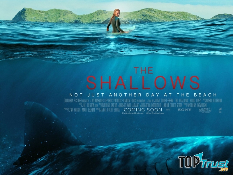 The Shallows