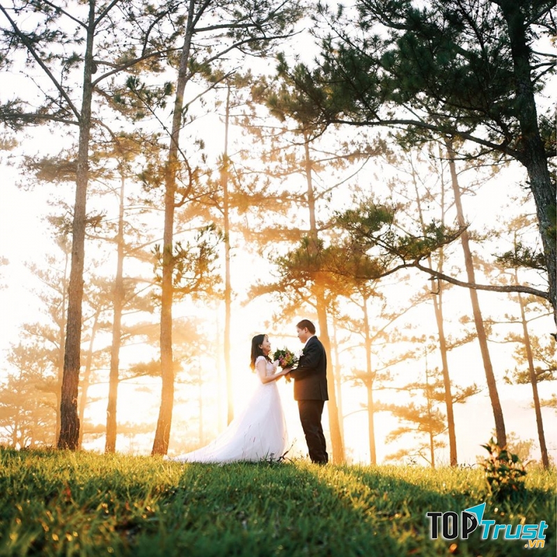 The Studio by Đông Nhật