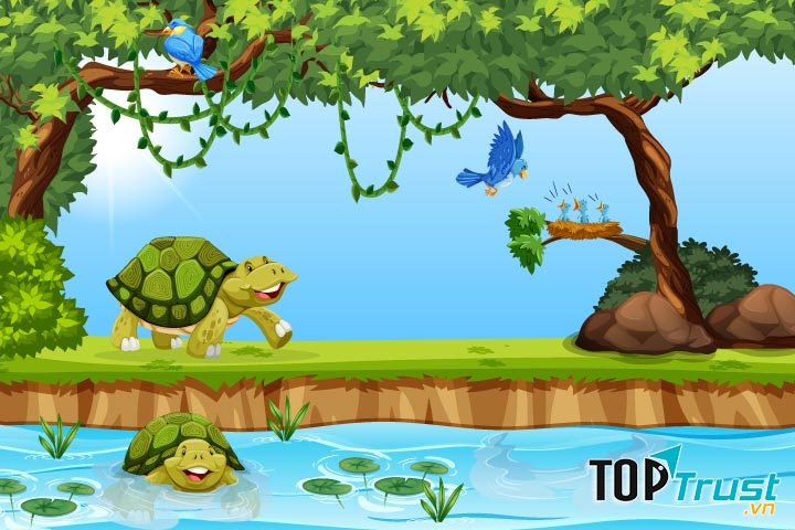 The Tortoise And The Bird