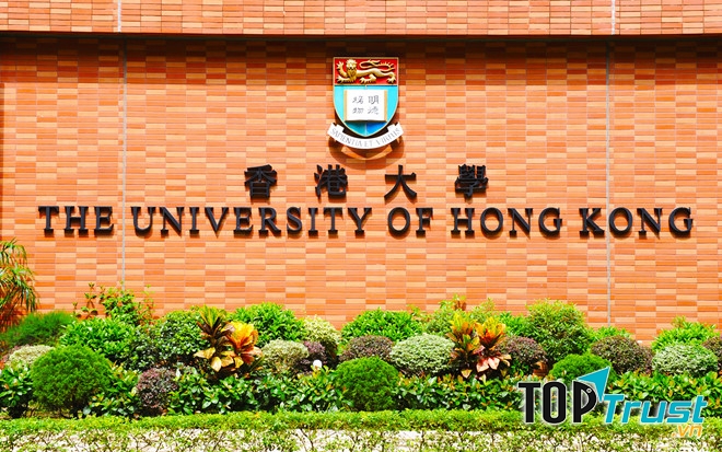 The university of Hong Kong