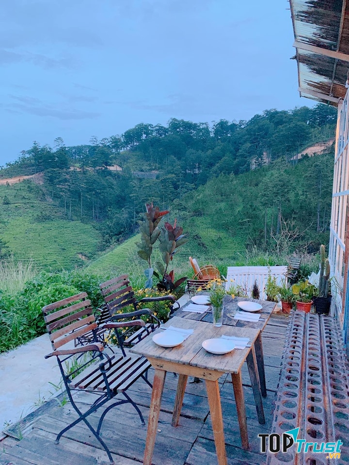 The Wilder-nest là một homestay kết hợp quán cà phê mới ở Đà Lạt đã và đang là siêu lòng không biết bao nhiêu bạn trẻ