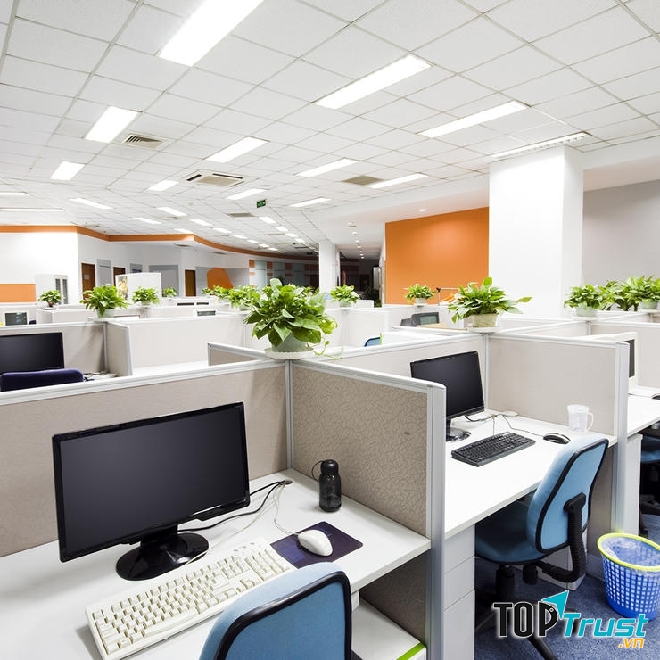 Cây xanh được để khắp các gian làm việc.