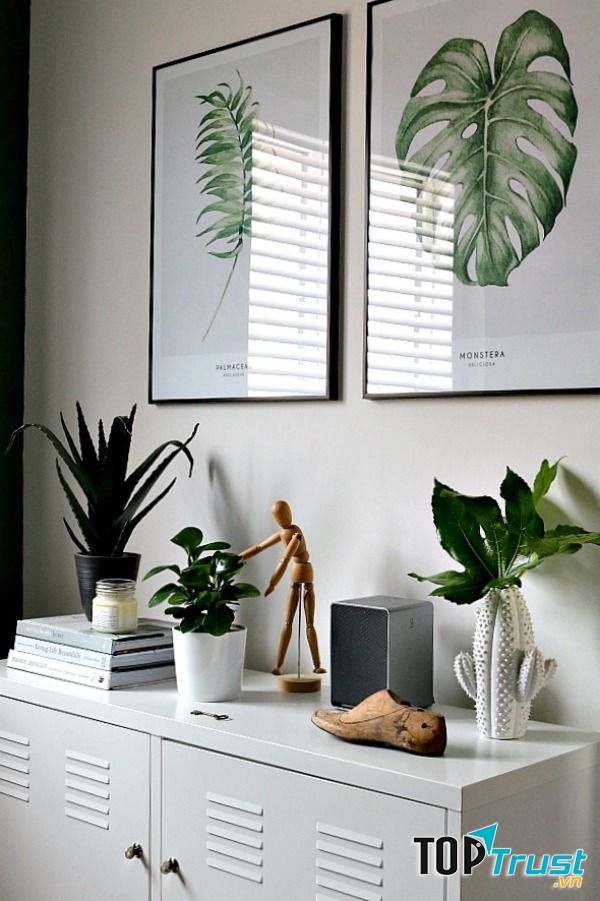Việc thêm cây cảnh giúp không gian thoáng đãng hơn.