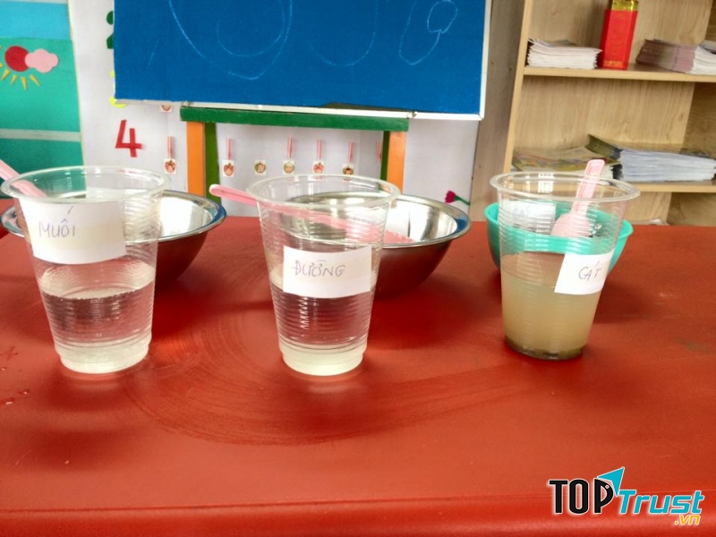Thí nghiệm hòa tan trong nước