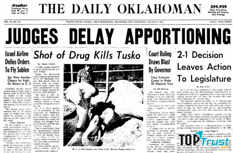 Thí nghiệm ma túy LSD trên voi