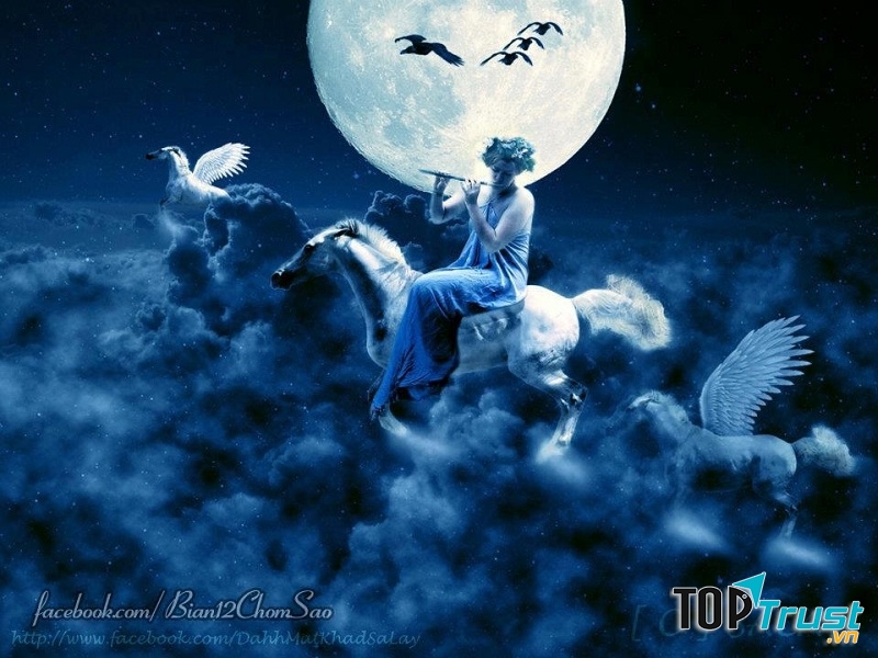 Tìm kiếm cái mới là bản năng Nhân Mã.