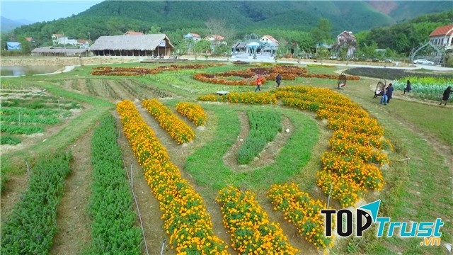 Một góc nhỏ trong thin đường hoa Quảng La