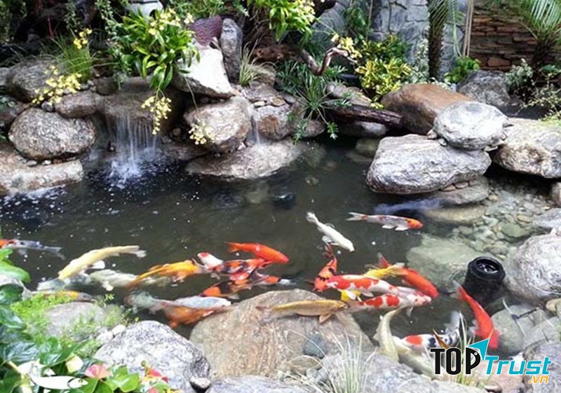 Ảnh minh họa (nguồn internet)