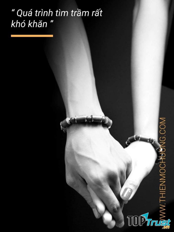 Thiên Mộc Hương