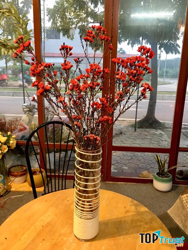 Thiên Thanh Flowers