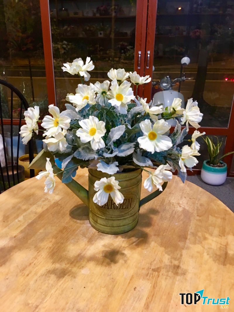Thiên Thanh Flowers