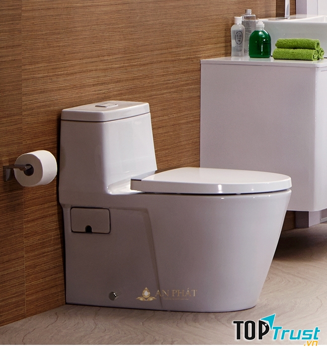 Thiết bị vệ sinh tại Hà Nội An Phát