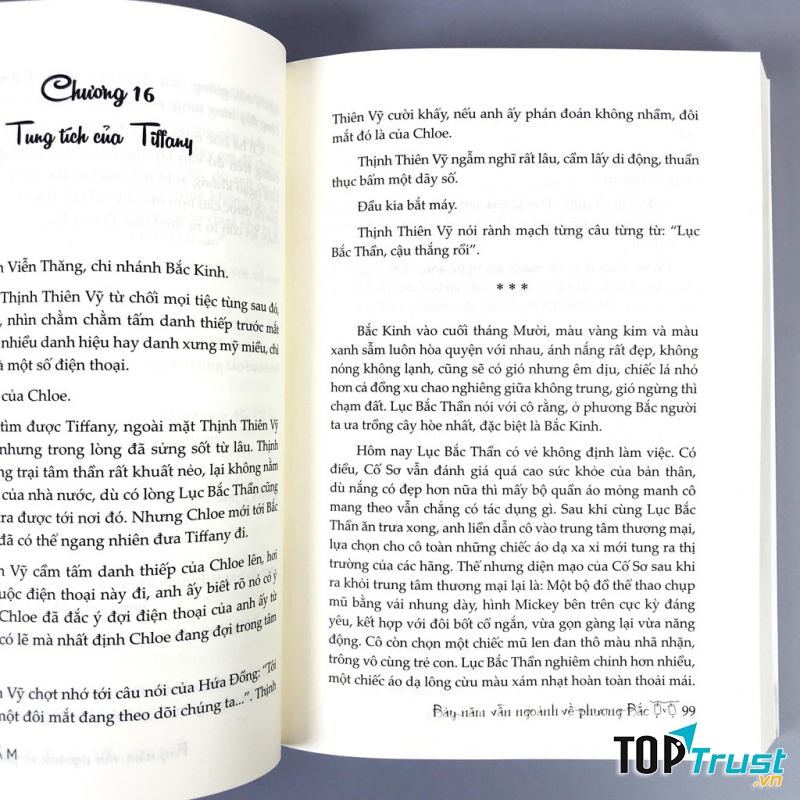 Thịnh Thiên Vỹ (Bảy năm vẫn ngoảnh về phương Bắc)