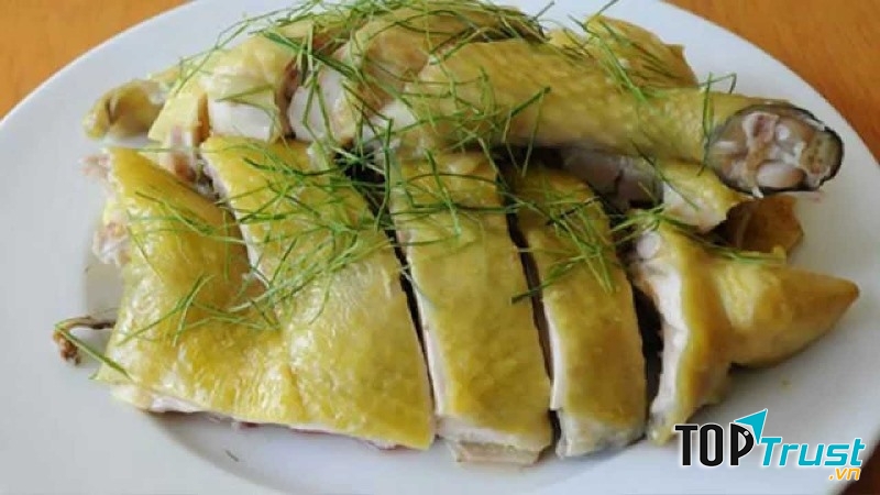 Thịt gà