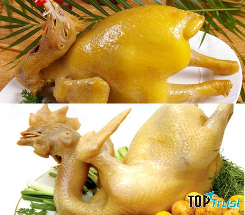 Da gà ta có màu vàng nhạt còn gà nhuộm hóa chất có màu vàng óng đều