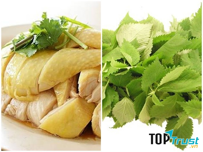 Thịt gà và rau kinh giới