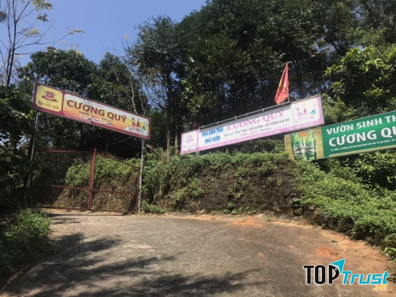 Thịt thỏ Cương Quý